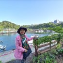 칠십리교 이미지