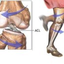 한마음정형외과의원 이미지