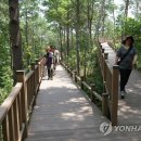 제암산자연휴양림 식당 이미지