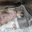 언양동물병원 이미지