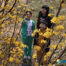 와보랑께박물관 이미지