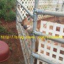 정고개농장 이미지