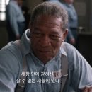 꼬마별 이미지