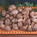 고급한지박스 및 대바구니 송고버섯선물세트(2016년구정선물용) 이미지