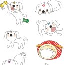 헬로펫 여수 네이버블로그