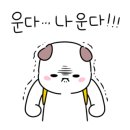 뽀송뽀송강아지미용실 이미지