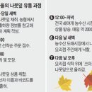 도사산촌마을 이미지