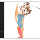 알리바바한의원 이미지