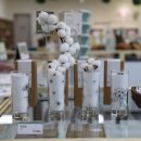 수목원가든 이미지