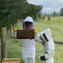 현우양봉 1 이미지