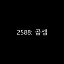 2588 이미지