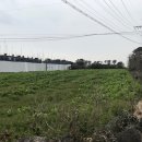 제주토생금공인중개사사무소 이미지