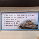 소돌초밥