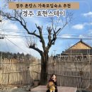 경주촌캉스효현스테이 이미지