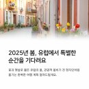 호텔봄날 | 2025 봄 시즌 유럽 여행지 추천, 런던 이비스 호텔 후기