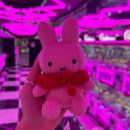 뽑기스쿨 | 🎓[AIVLE SCHOOL 기자단] 드디어 끝! 에이블 스쿨 수료식_아쉬움 반 기쁨