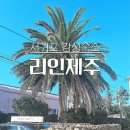 리인제주 | 제주 리인제주, 사계해변 용머리해안 근처 서귀포시 감성 숙소 추천