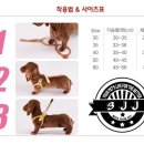 복돌이애견 이미지