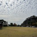 녹산수문공원 이미지