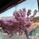 명장2동행정복지센터 이미지