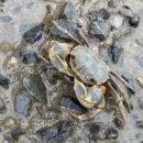 늘푸른민박 이미지