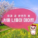 따뜻한 봄 서울 데이트 코스 8 이미지