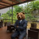 큰곰자리부동산중개그룹 이미지