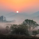 화포천생태습지공원 이미지