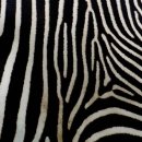 커피와세탁 이미지