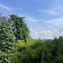 아벨농장 이미지