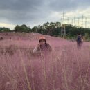 거창-남상-2 이미지