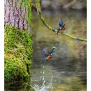 바다가 보이는 풍경 이미지