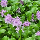 서동공원 이미지