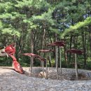 김송필 희망의향기 이미지