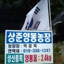 상준농장 이미지