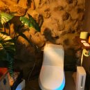 둘하루방 이미지