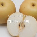 속노랑 항암 쌈배추// 싱싱 봄동 // 나주배(선물용,가정용) // 14브릭스이상~ 한라봉 // 당도 좋은 대추방울 토마토 이미지