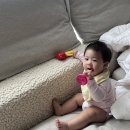 나무창작소 네이버블로그