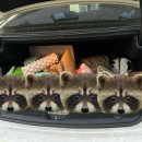 양산로 | 영등포 세차 추천 &lt;굿디테일&gt; 만족 후기(내돈내산)