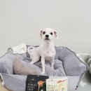 S0709 네이버블로그