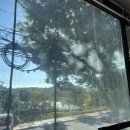 협진약품 이미지