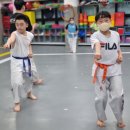 올림픽석사태권도 이미지