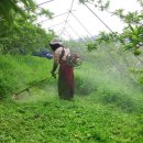 낙원농장 이미지