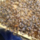 월송농장 이미지