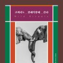 코끼리언니