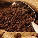 로타커피 이미지