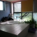 금대펜션 이미지