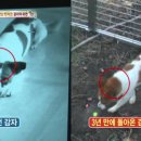 감자동물병원 이미지