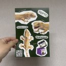 크레스티드게코 사료 추천 ㅣ 렙타밀 인섹트와 무화과 ㅣ 다섯마리 급여후기