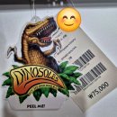 Dinosoles 티렉스 콩코드 샌들 구매후기 🦖 남자아이 여름샌들 추천!